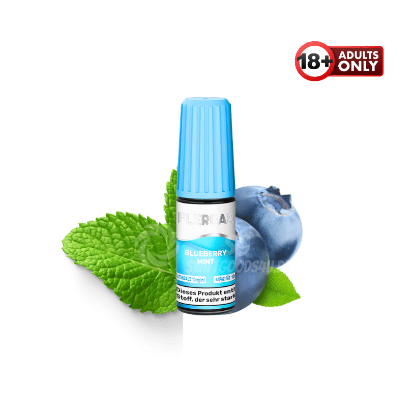 Flerbar Liquid Blueberry Mint - günstig kaufen bei SwiftGoods4u