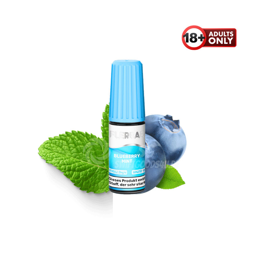 Flerbar Liquid Blueberry Mint - günstig kaufen bei SwiftGoods4u