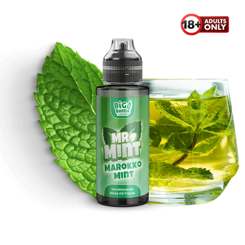 BIG BOTTLE XL Mr. Mint Marokko Mint Longfill - günstig kaufen bei SwiftGoods4u
