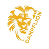 Dampflion Logo Icon