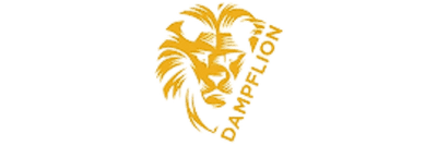 Dampflion Logo