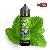 OWL Salt Longfill Spearmint Aroma